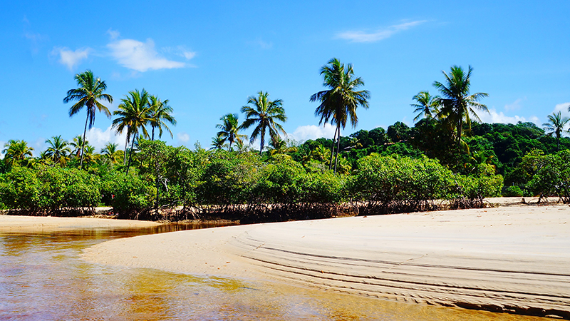 Visite a famosa Praia dos Coqueiros em Trancoso